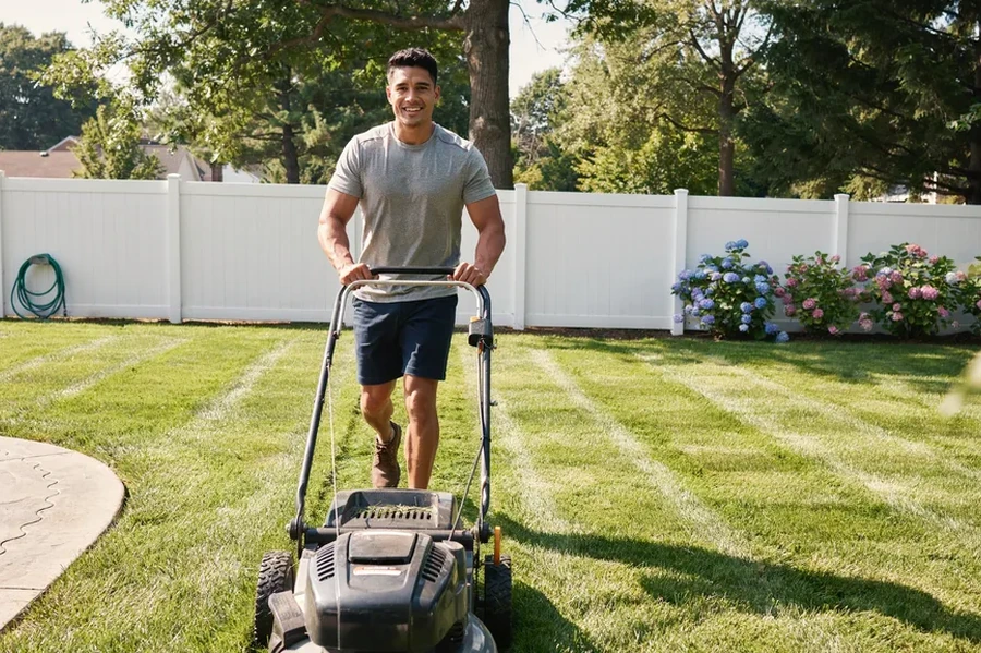 Backyard Landscaping Service