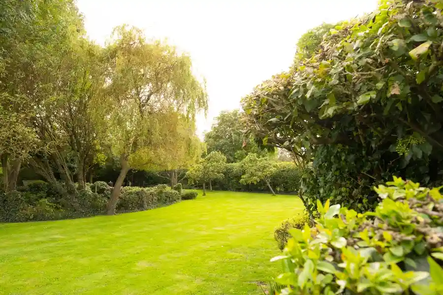 Expert Garden Maintenance Westmont, IL Expert Garden Maintenance Westmont, IL