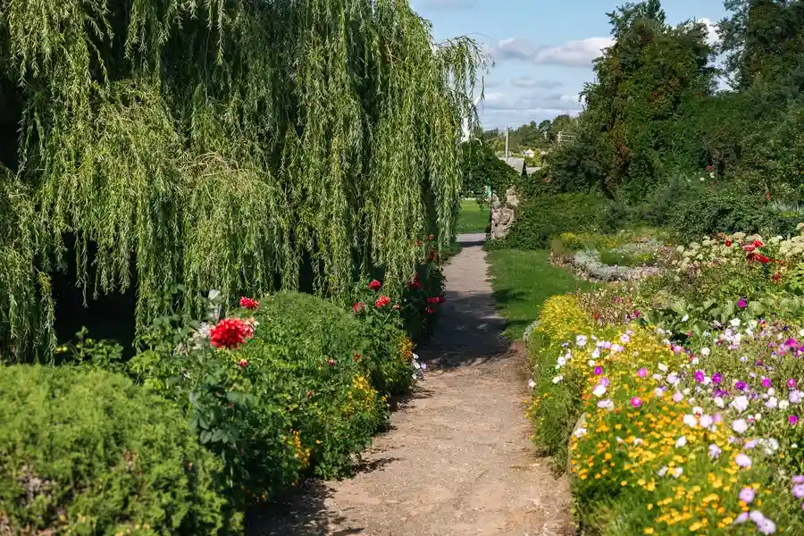 How Garden Maintenance Enhances Outdoor Spaces in Westmont, IL How Garden Maintenance Enhances Outdoor Spaces in Westmont, IL