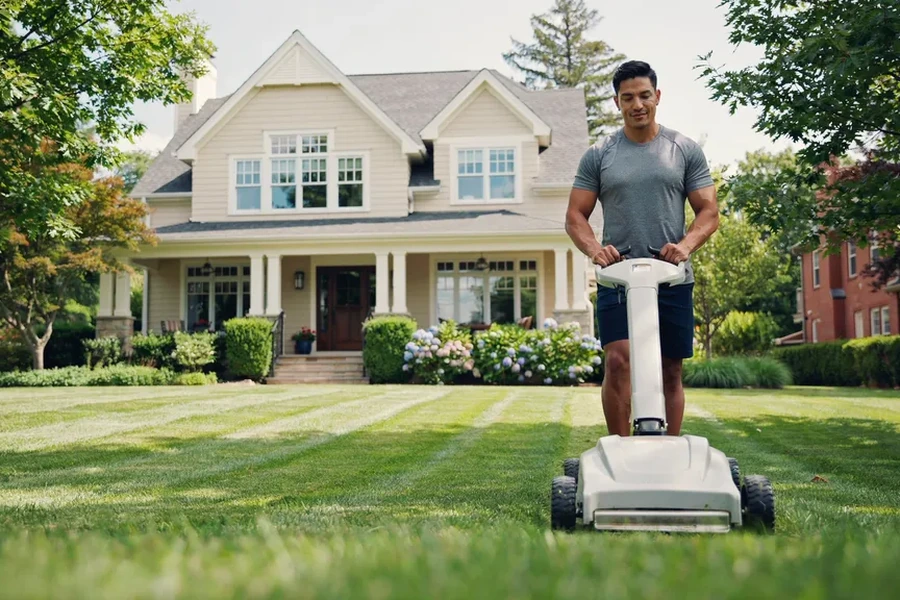 Lanscaping