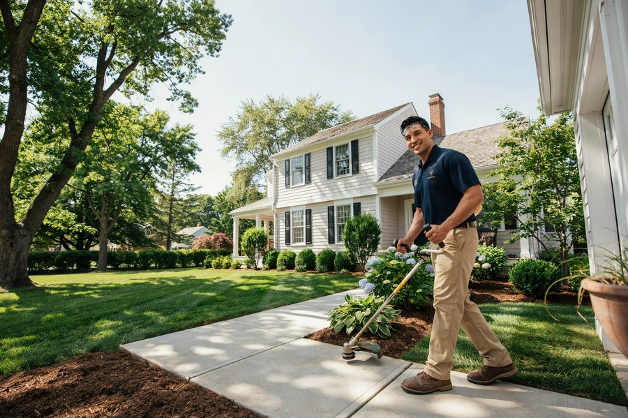 Lanscaping