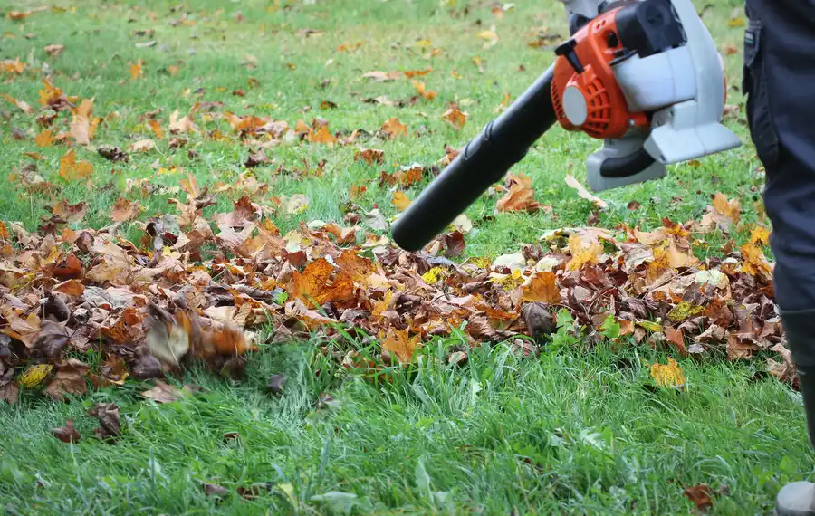 Reliable Backyard Landscaping Service Westmont, IL