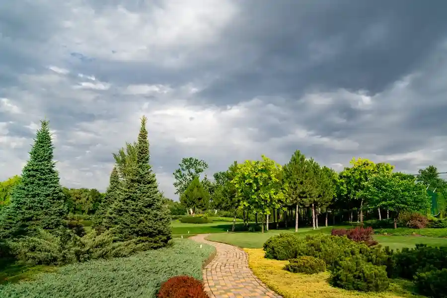 Top-rated Garden Maintenance Westmont, IL Top-rated Garden Maintenance Westmont, IL