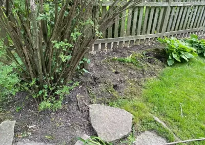Best Landscape Company