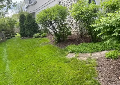Expert Landscape Company