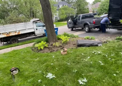 Licensed Landscaper