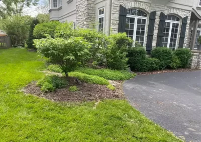Premier Landscaping Contractor