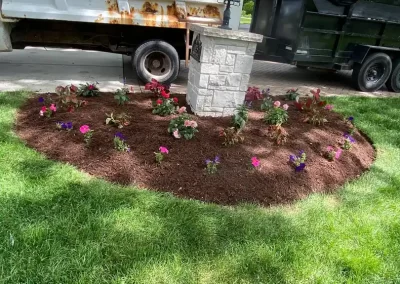Premium Landscape Maintenance