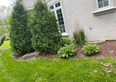 Professional Landscaper