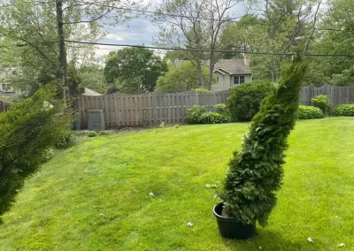 Reliable Landscape Maintenance