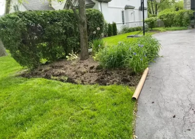 Trusted Landscape Contractor
