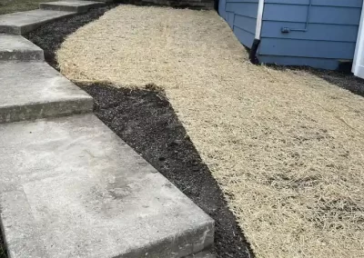 Trusted Landscaping Contractor